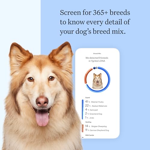 Wisdom Panel Breed Discovery Dog DNA Kit: Most Accurate Dog Breed Identification, Test for 365+ Breeds, MDR1 Health Test, Ancestry, Relatives - Image 3