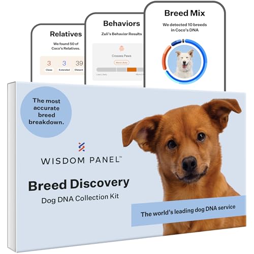 Wisdom Panel Breed Discovery Dog DNA Kit: Most Accurate Dog Breed Identification, Test for 365+ Breeds, MDR1 Health Test, Ancestry, Relatives - Image 2