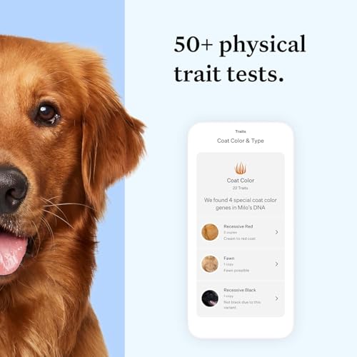 Wisdom Panel Essential Dog DNA Kit: Most Accurate Test for 365+ Breeds, 30 Genetic Health Conditions, 50+ Traits, Relatives, Ancestry - 1 Pack - Image 5