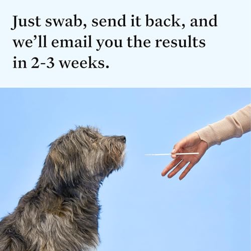 Wisdom Panel Essential Dog DNA Kit: Most Accurate Test for 365+ Breeds, 30 Genetic Health Conditions, 50+ Traits, Relatives, Ancestry - 1 Pack - Image 7