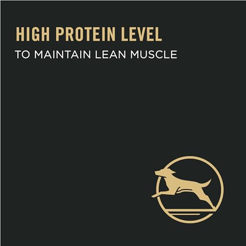 Purina Pro Plan Weight Management Dog Food Dry, Shredded Blend Chicken and Rice Formula - 34 lb. Bag - Image 3
