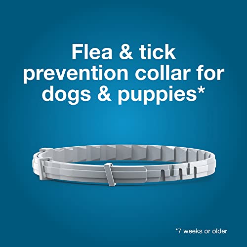 Seresto Small Dog Vet-Recommended Flea & Tick Treatment & Prevention Collar for Dogs Under 18 lbs. | 2 Pack - Image 6