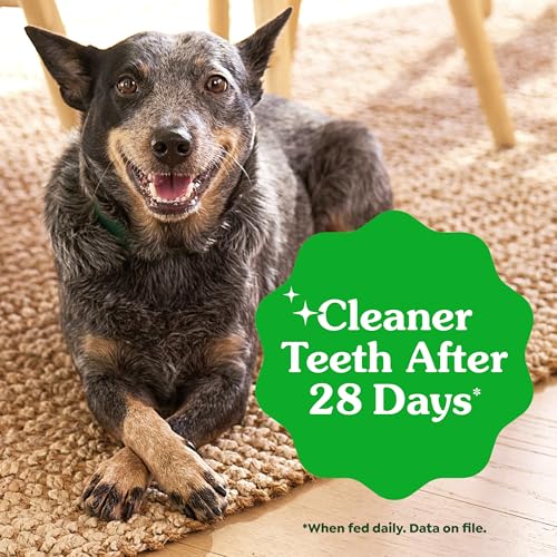 Greenies Veterinarian-Recommended Adult Natural Dental Dog Treats Large Size, Original Flavor, (4) 12 ct Packs (48 Treats Total) - Image 5