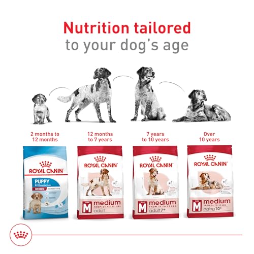 Royal Canin Size Health Nutrition Medium Adult Dry Dog Food, 30 lb Bag - Image 7