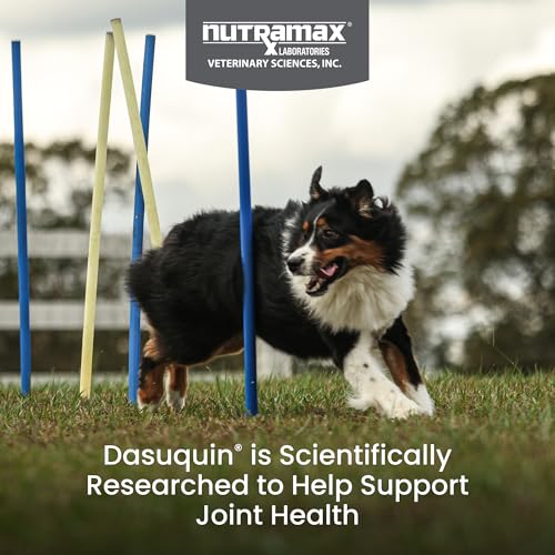 Nutramax Dasuquin for Large Dogs, Joint Health Supplement, Contains Glucosamine for Dogs, Plus Chondroitin, ASU, MSM and More, Supports Healthy Joints, Chewable Tablets, 150 Count - Image 3
