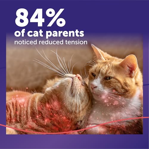 FELIWAY® MultiCat 6 x 30 Day Cat Calming Refills for Pheromone Diffuser, 6 x 48ml Value Pack- Helps Reduce Conflicts and Signs of Tension in Multi-Cat Households - Image 4