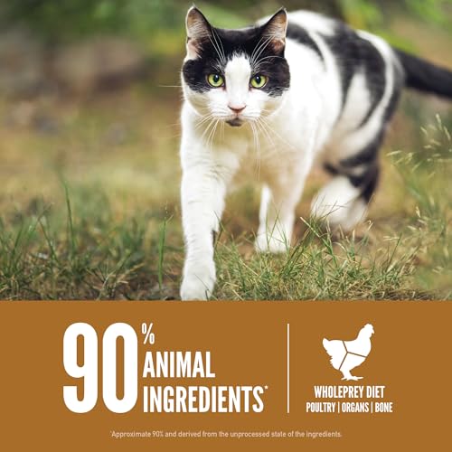 ORIJEN Grain Free High Protein Premium Dry Cat Food Original Recipe 12lb Bag - Image 6