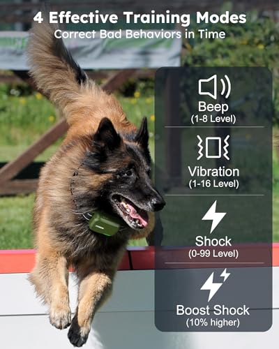 Jugbow Dog Shock Collar 2 Dogs (10-120Lbs) - 4200FT Dog Training Collar with Remote IPX7 Waterproof Electric Collar with 4 Training Modes, Security Lock, Rechargeable e-Collar for All Breeds, Sizes - Image 4