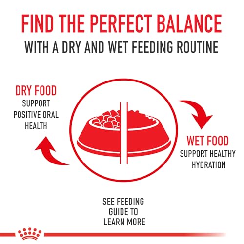 Royal Canin Size Health Nutrition Medium Adult Dry Dog Food, 30 lb Bag - Image 6
