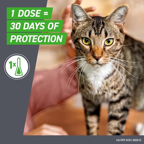 FRONTLINE Plus Flea & Tick Spot Treatment for Cat & Kitten (Green) Count of 8 - Image 7