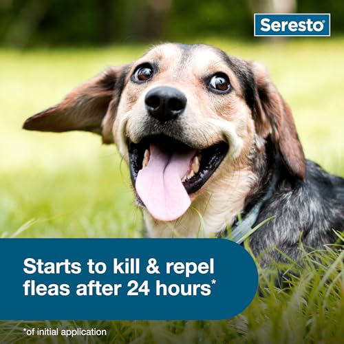 Seresto Small Dog Vet-Recommended Flea & Tick Treatment & Prevention Collar for Dogs Under 18 lbs. | 2 Pack - Image 7