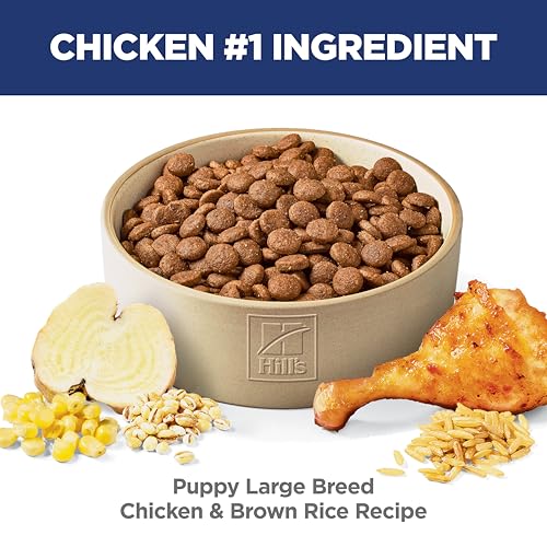 Hill's Science Diet Puppy Large Breed Dry Dog Food, Chicken & Brown Rice, 27.5 lb. Bag - Image 3