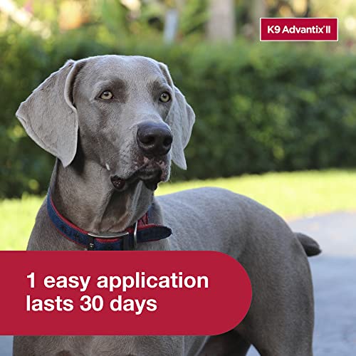 K9 Advantix II XL Dog Vet-Recommended Flea, Tick & Mosquito Treatment & Prevention | Dogs Over 55 lbs. | 6-Mo Supply - Image 8