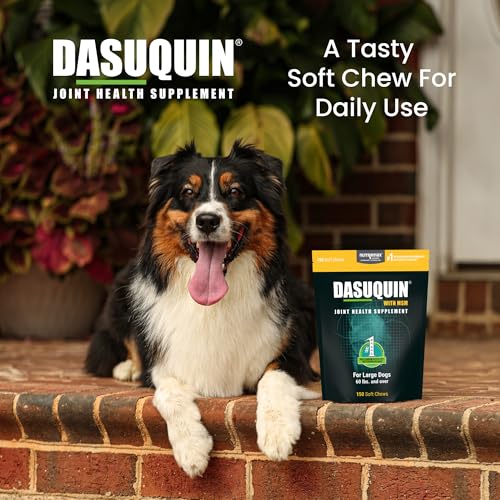 Nutramax Dasuquin for Large Dogs, Joint Health Supplement, Contains Glucosamine for Dogs, Plus Chondroitin, ASU, MSM and More, Supports Healthy Joints, Soft Chews, 150 Count - Image 5