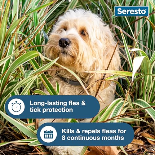 Seresto Small Dog Vet-Recommended Flea & Tick Treatment & Prevention Collar for Dogs Under 18 lbs. | 2 Pack - Image 8