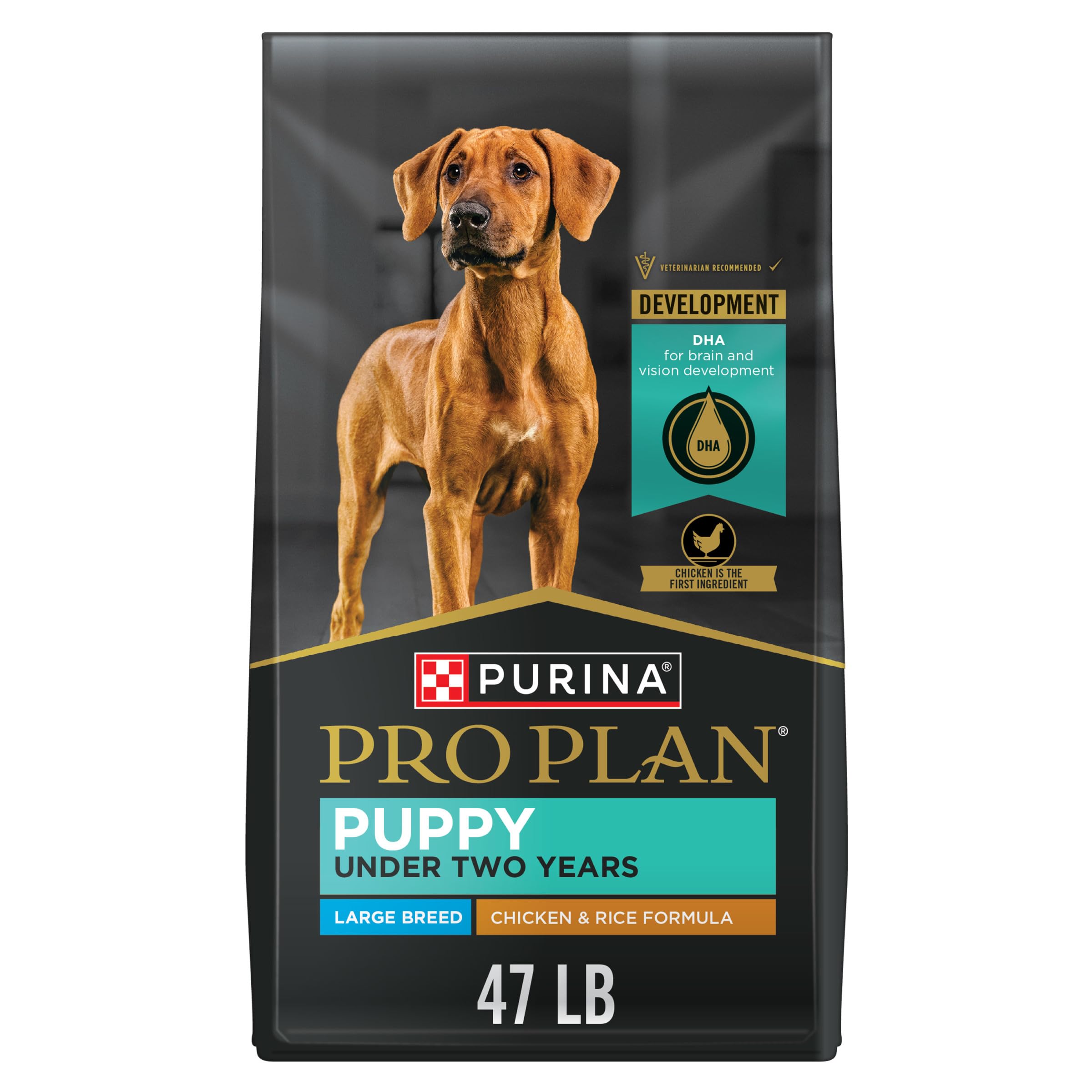 Purina Pro Plan Large Breed Chicken and Rice Formula Dry Puppy Food, High Protein Pet Food, 47 lb. Bag - Image 1