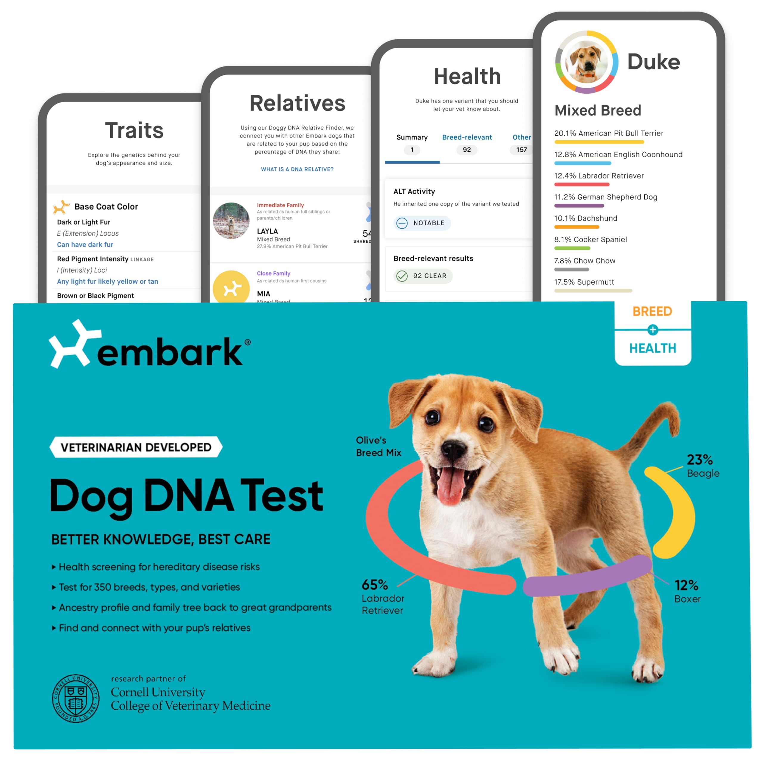 Embark Breed & Health Kit - Dog DNA Testing Kit - Discover Breed, Ancestry, Relative Finder, Genetic Health, Traits, Allergy Risk Scores - Image 1